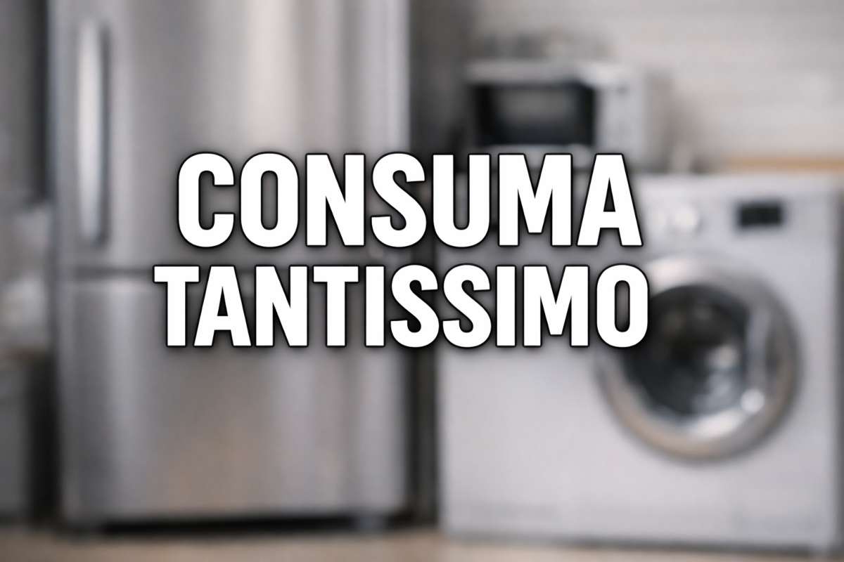 elettrodomestico consuma tantissimo
