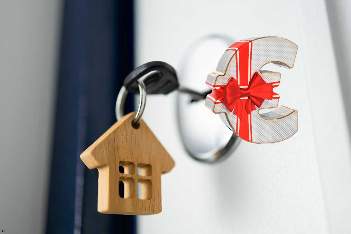 Bonus affitti Odcec.vicenza.it